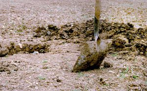 shovel_ground_3192840b